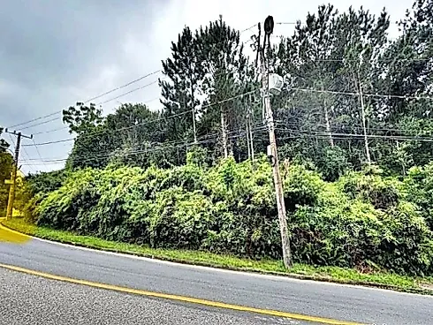 Terreno à Venda - João Paulo - Florianópolis/SC - Foto 7