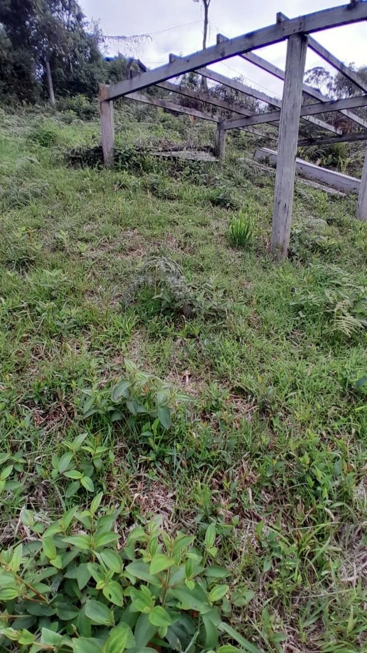 Terreno 300,00 M², Forquilhas, São José, Florianópolis/SC. - Foto 10