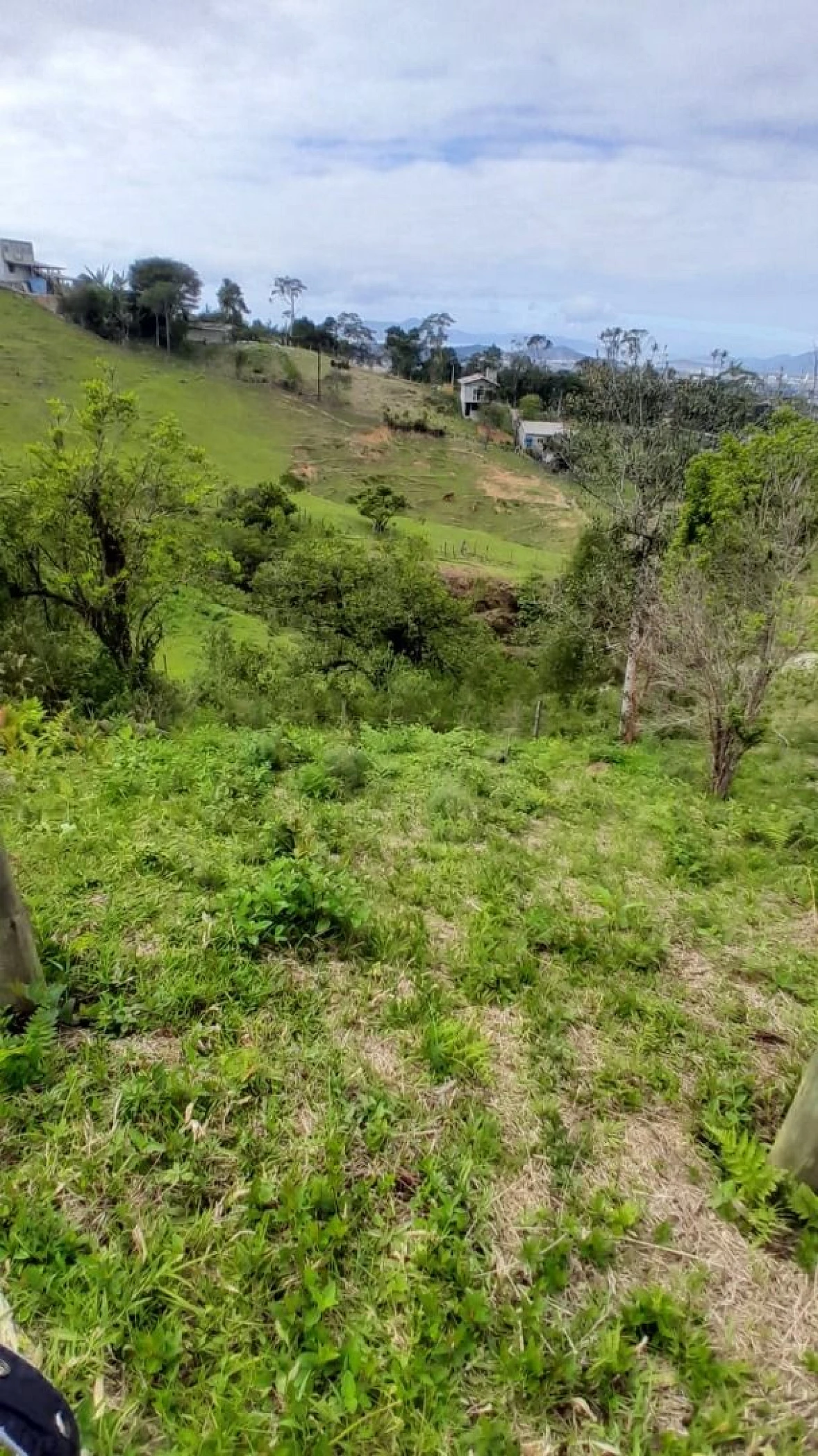Terreno 300,00 M², Forquilhas, São José, Florianópolis/SC. - Foto 11