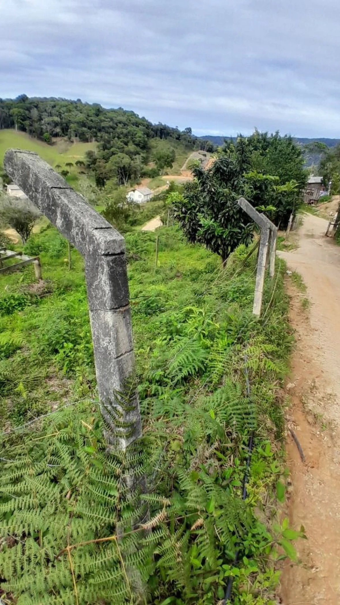 Terreno em Potecas, São José