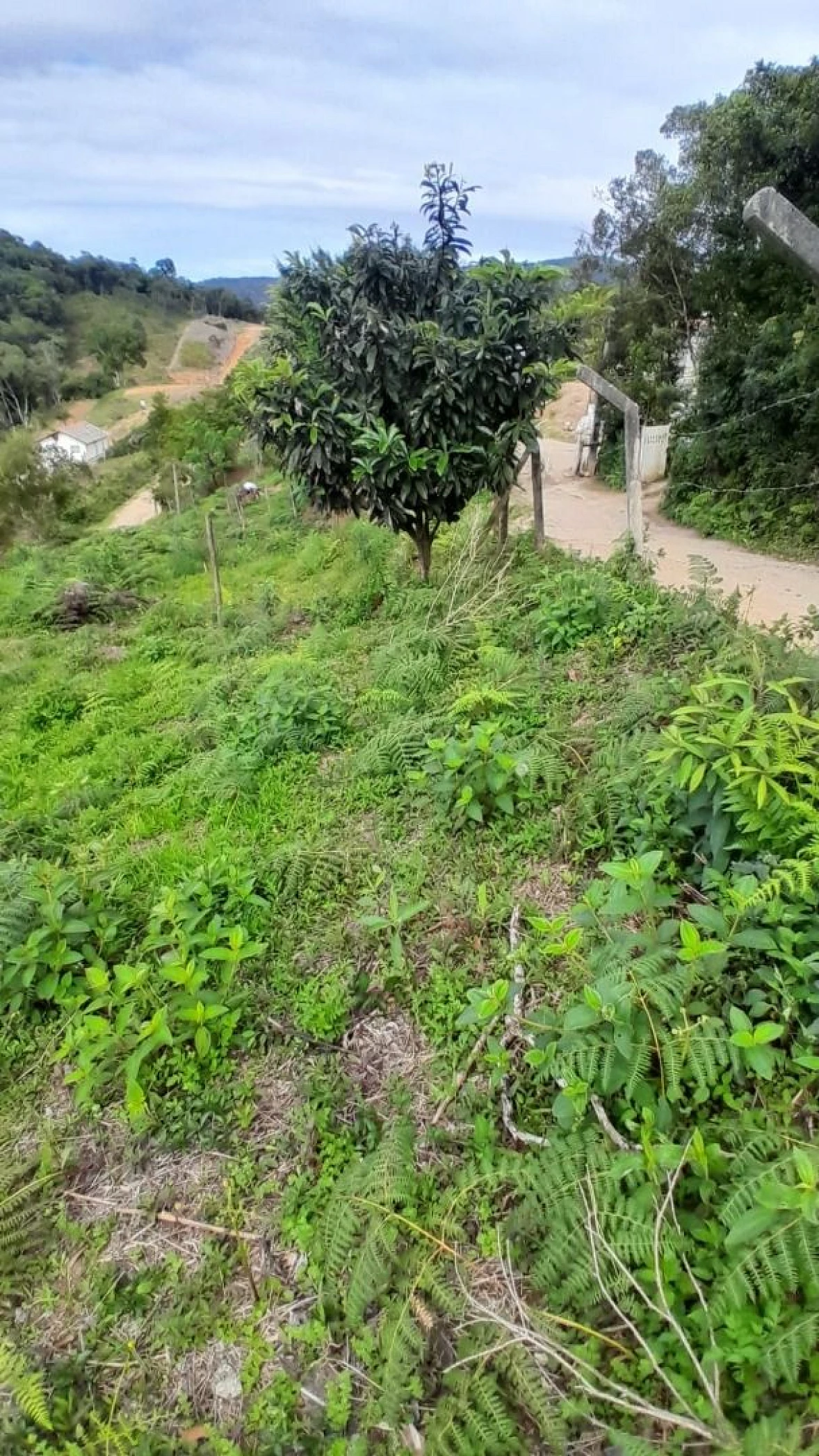 Terreno 300,00 M², Forquilhas, São José, Florianópolis/SC. - Foto 6