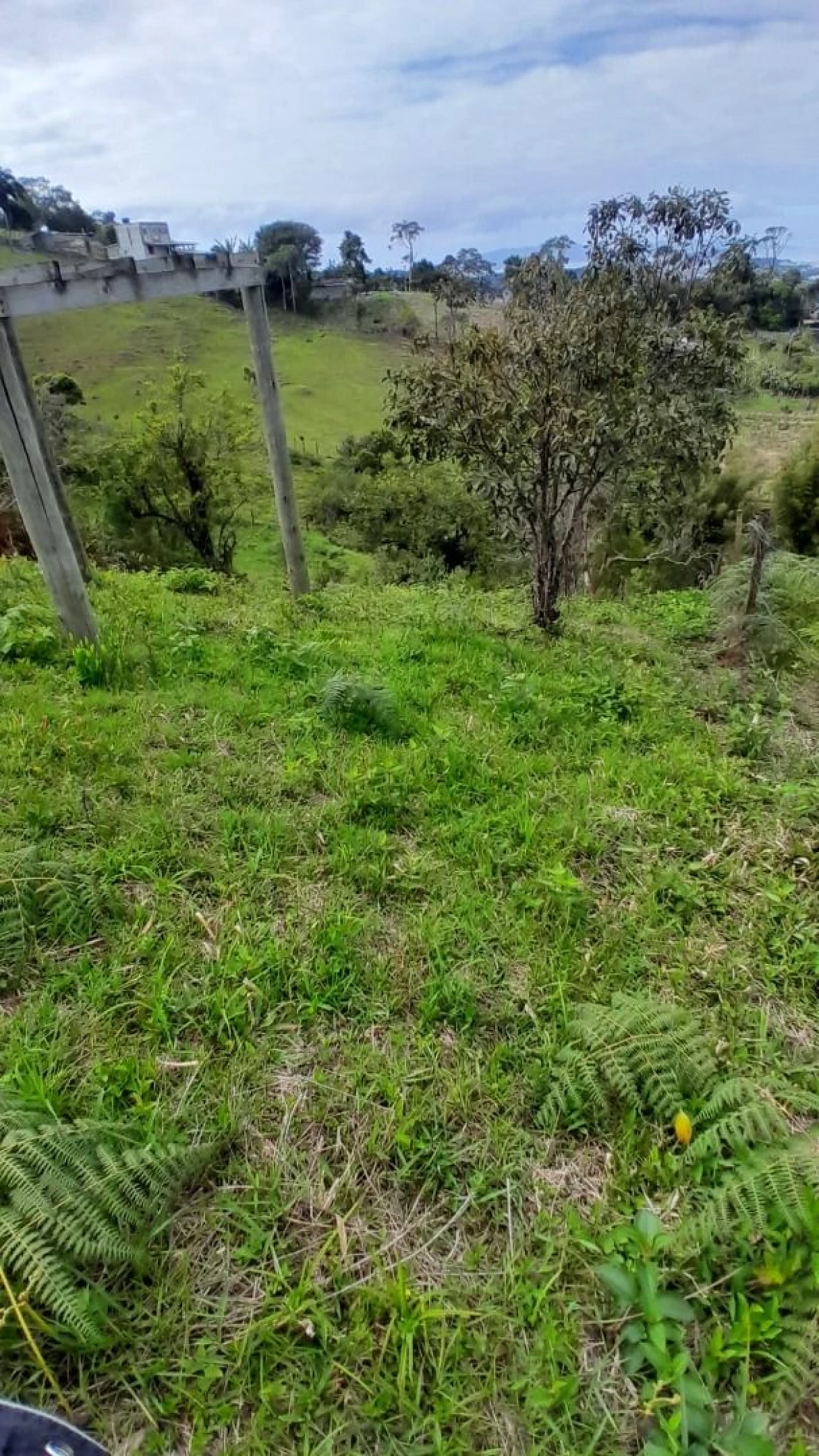 Terreno 300,00 M², Forquilhas, São José, Florianópolis/SC. - Foto 7