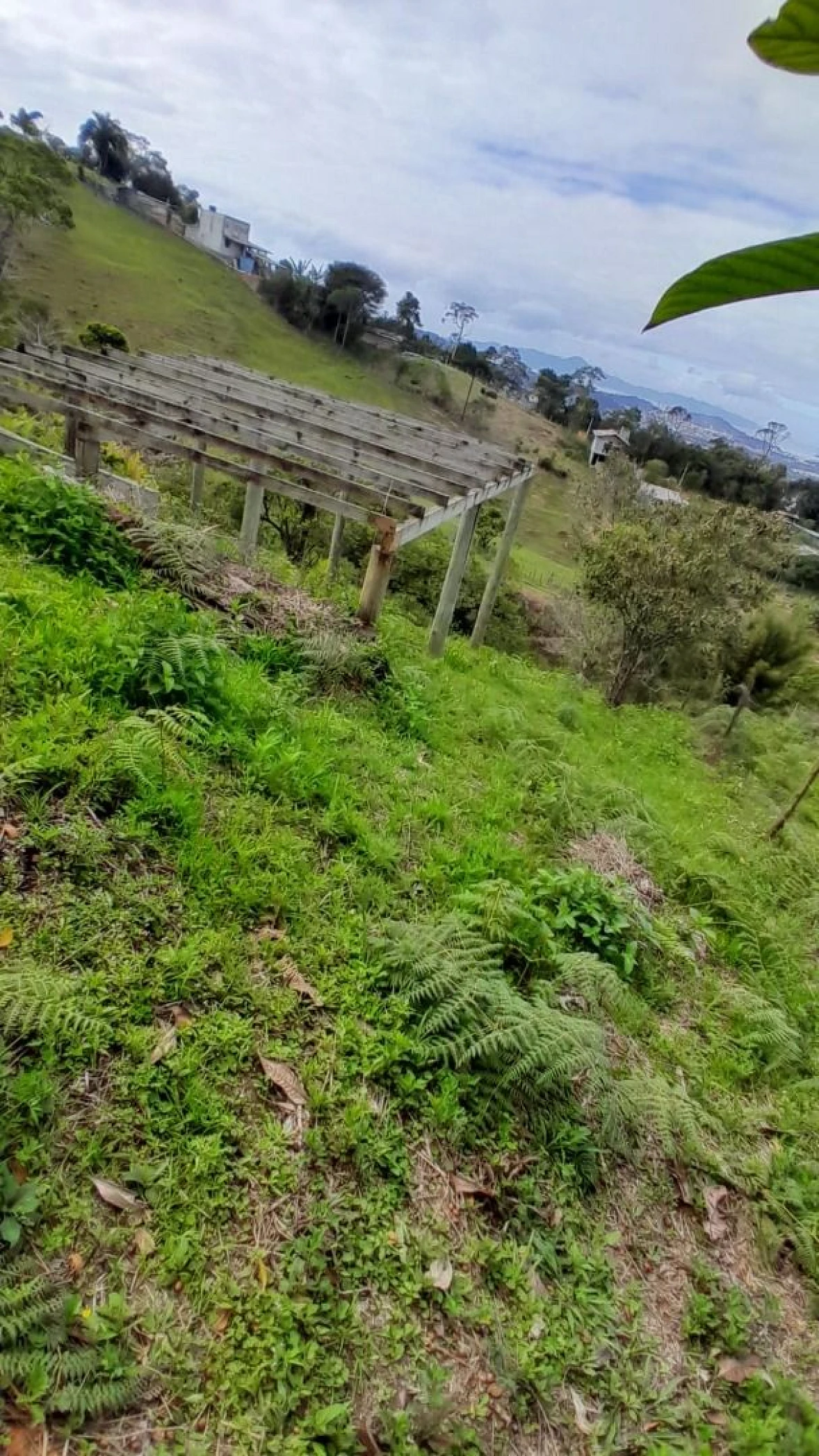 Terreno 300,00 M², Forquilhas, São José, Florianópolis/SC. - Foto 8
