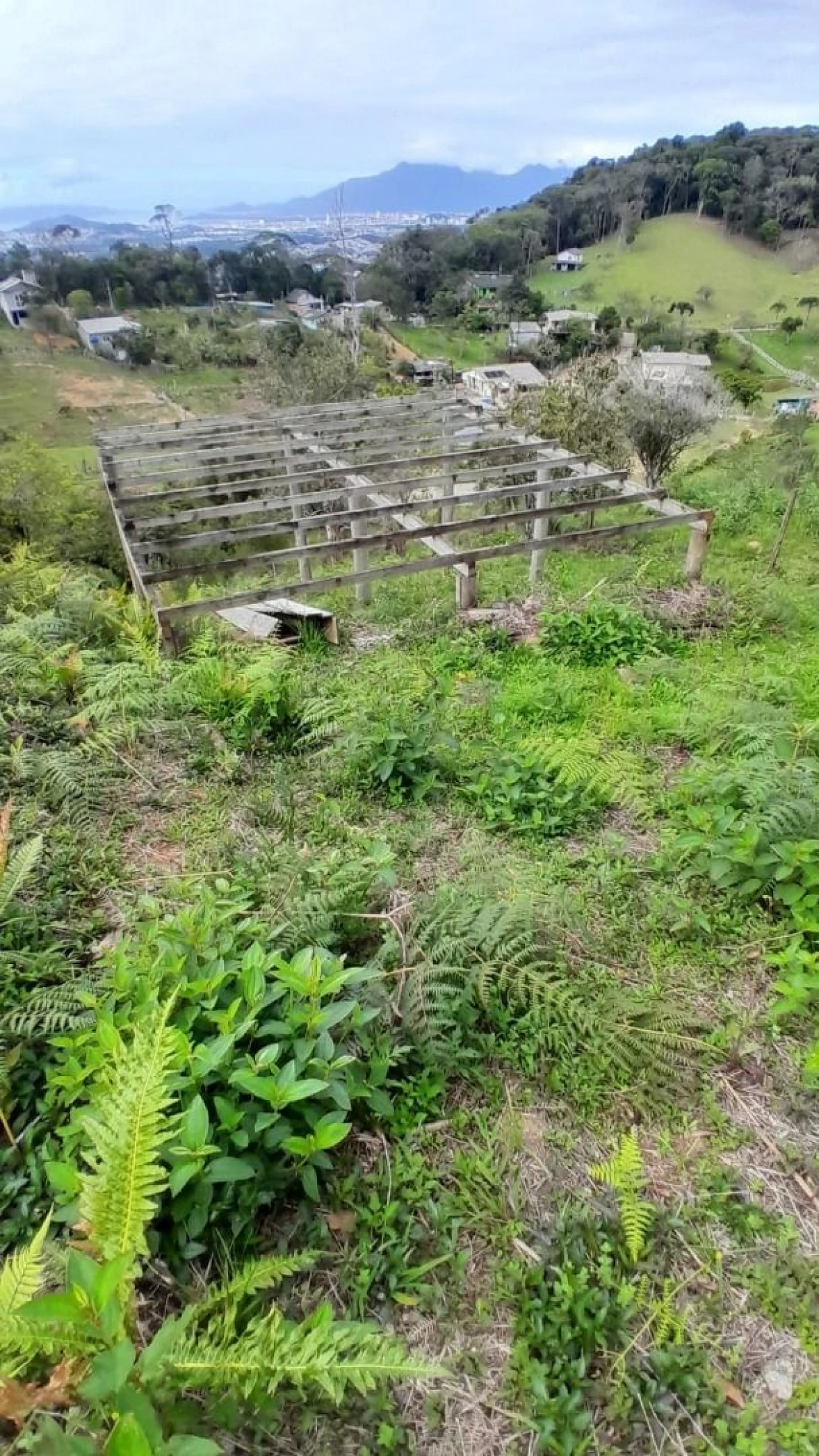 Terreno 300,00 M², Forquilhas, São José, Florianópolis/SC. - Foto 9
