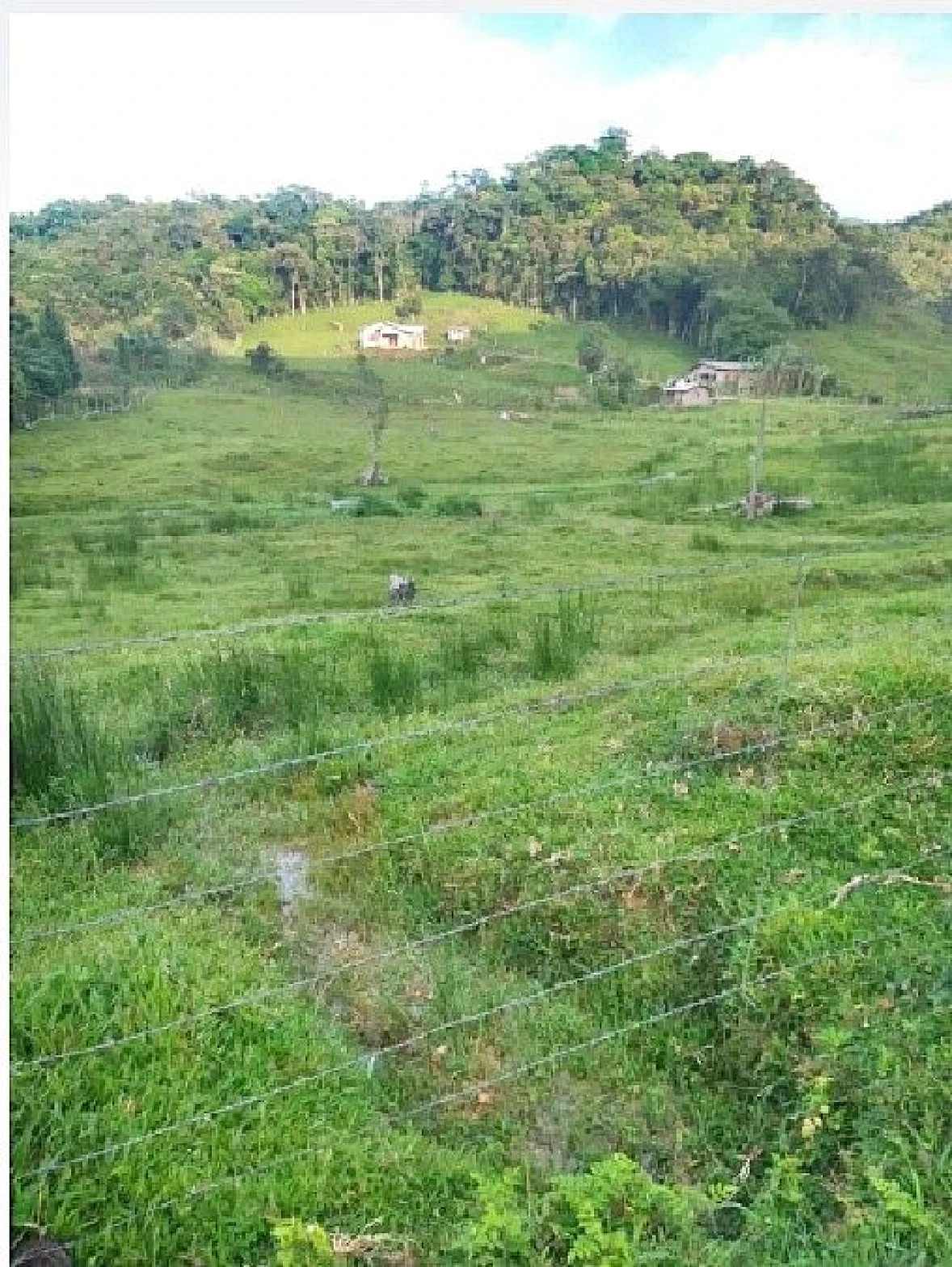 Sítio 22.000M² Casa2 Quartos, Área Verde - São Pedro de Alcântara - Foto 17