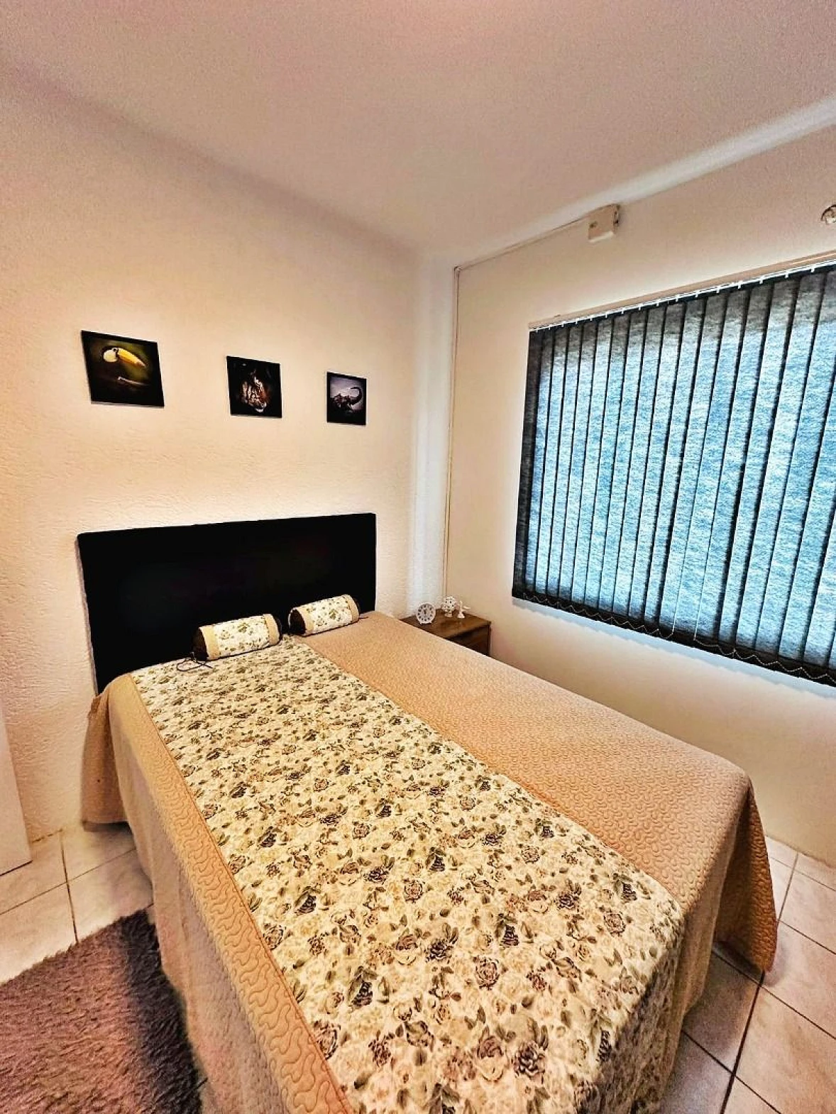 Casa 3 Quartos, Churrasqueira, 5 Vagas - São Sebastião - Foto 17