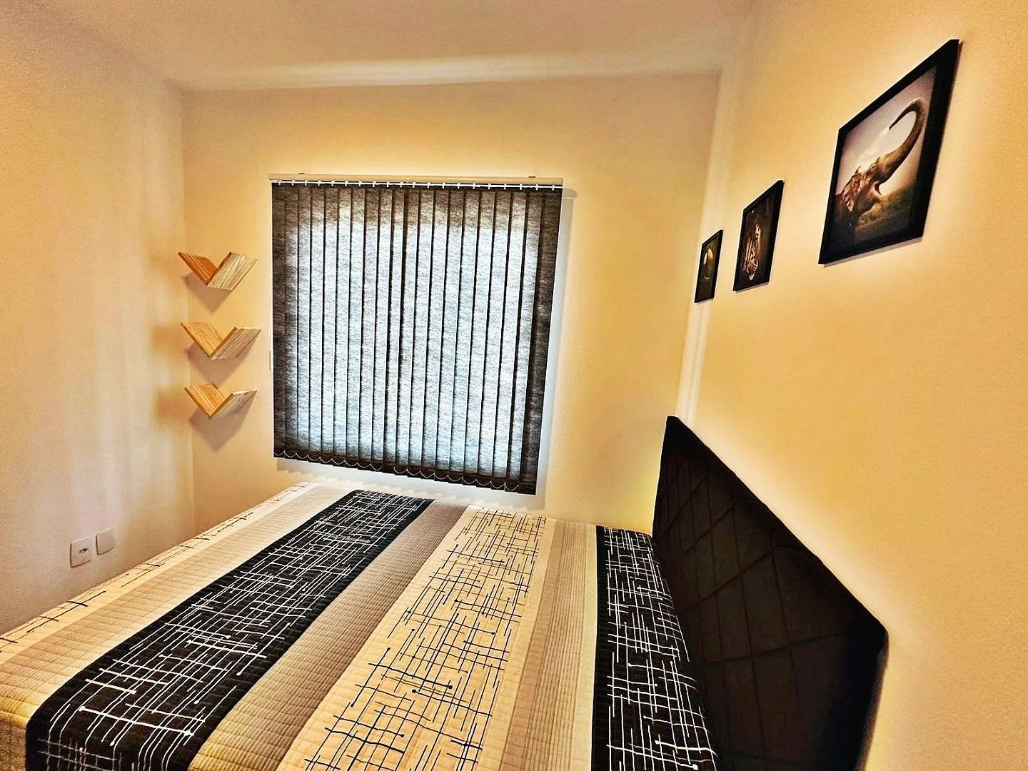 Casa 3 Quartos, Churrasqueira, 5 Vagas - São Sebastião - Foto 20
