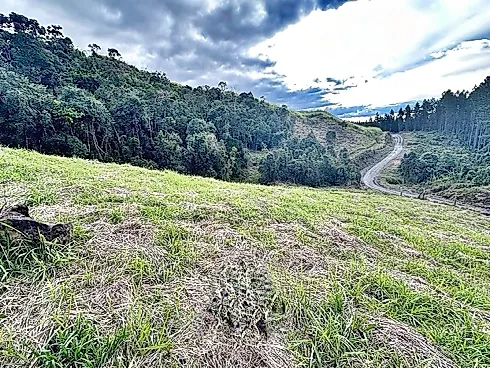 Terreno em Zona Rural, Alfredo Wagner
