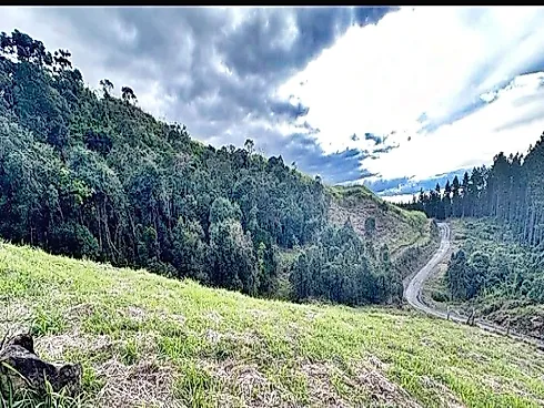 Terreno à Venda, 40.000 m² - Centro - Alfredo Wagner/SC - Foto 6