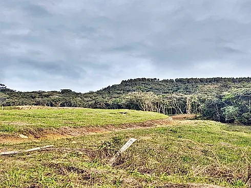 Terreno à Venda, 40.000 m² - Centro - Alfredo Wagner/SC - Foto 8