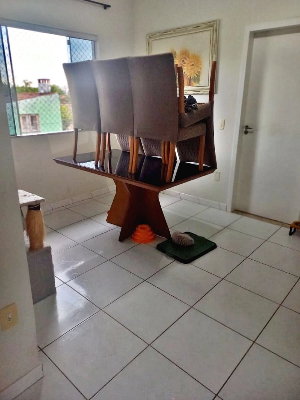 Casa em Fundos, Biguaçu