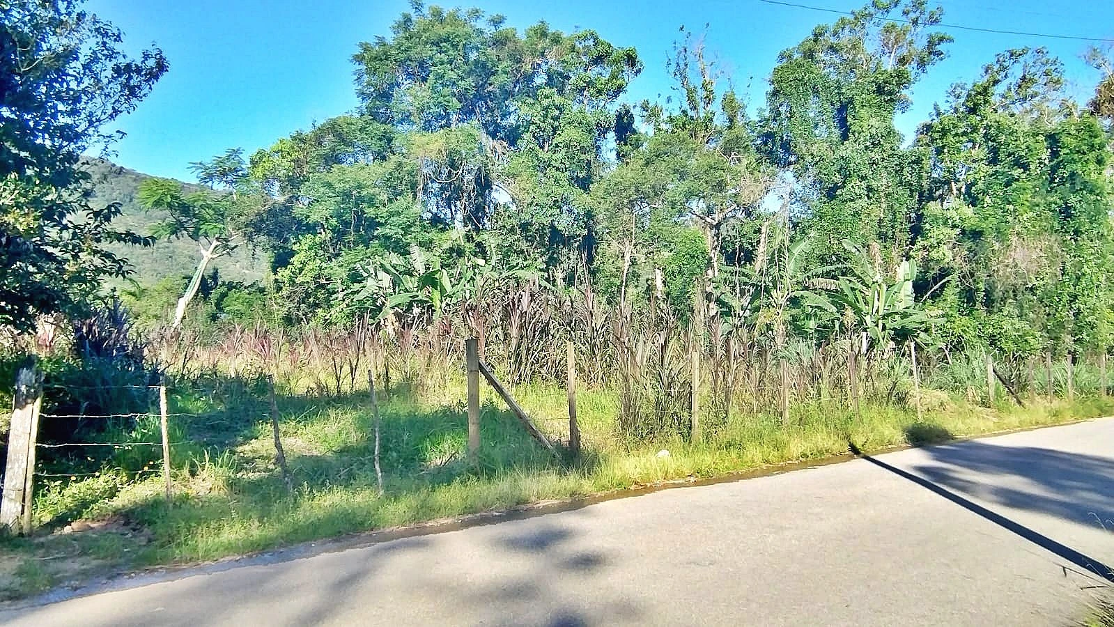 Terreno em Forquilhas, São José