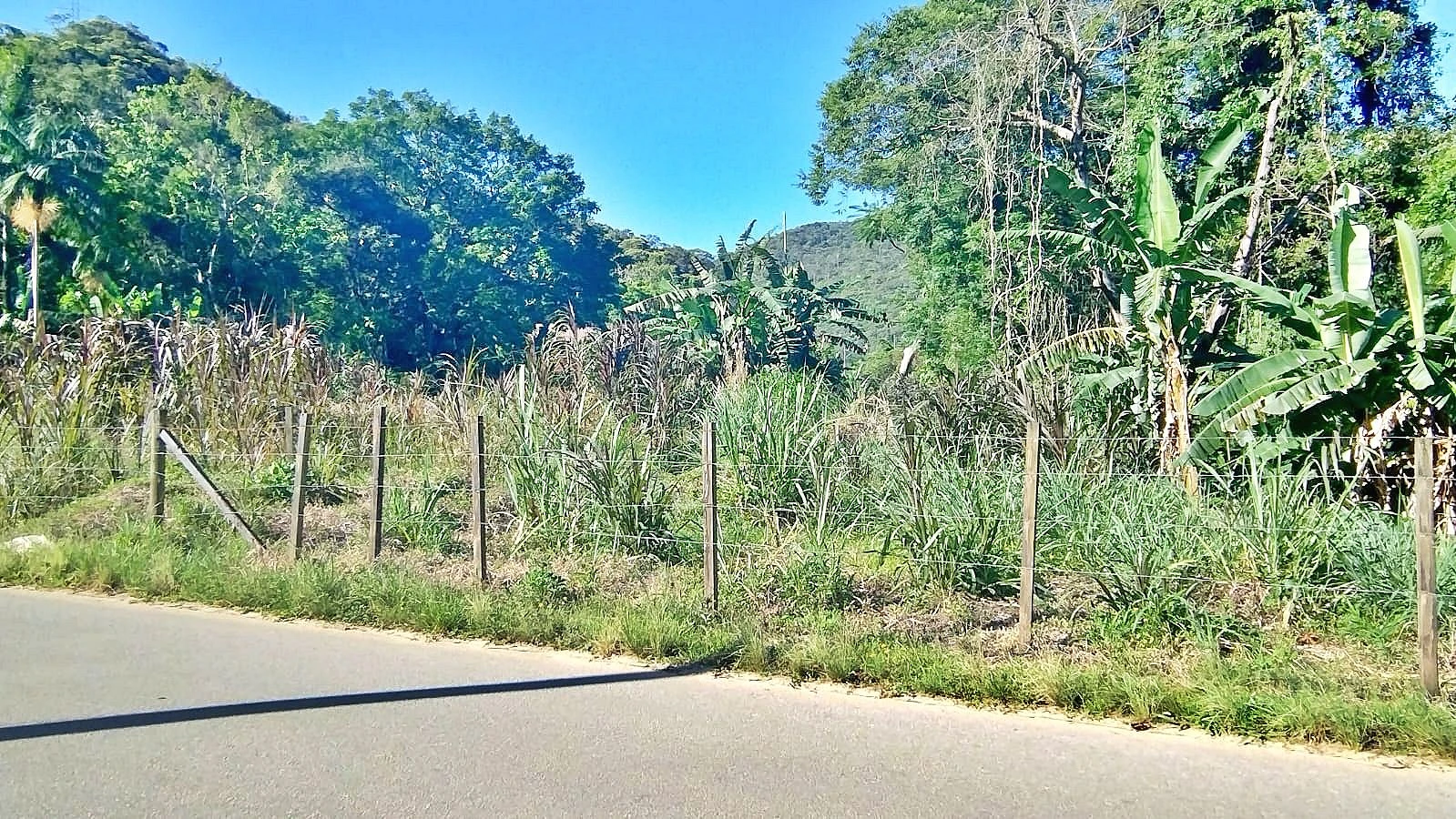 Terreno em Forquilhas, São José