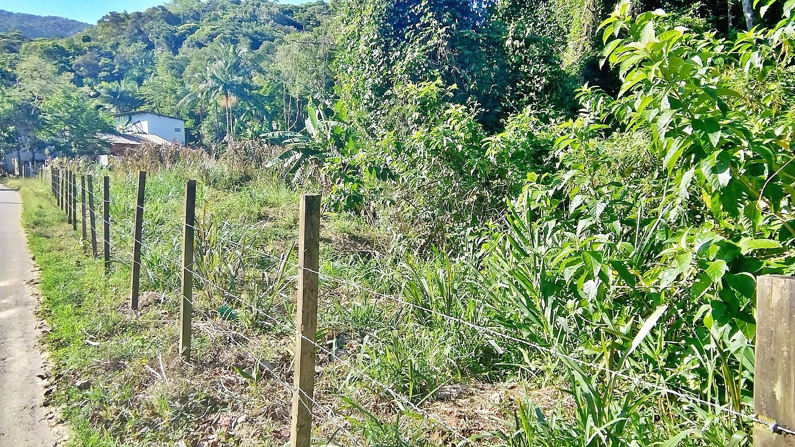 Terreno em Forquilhas, São José