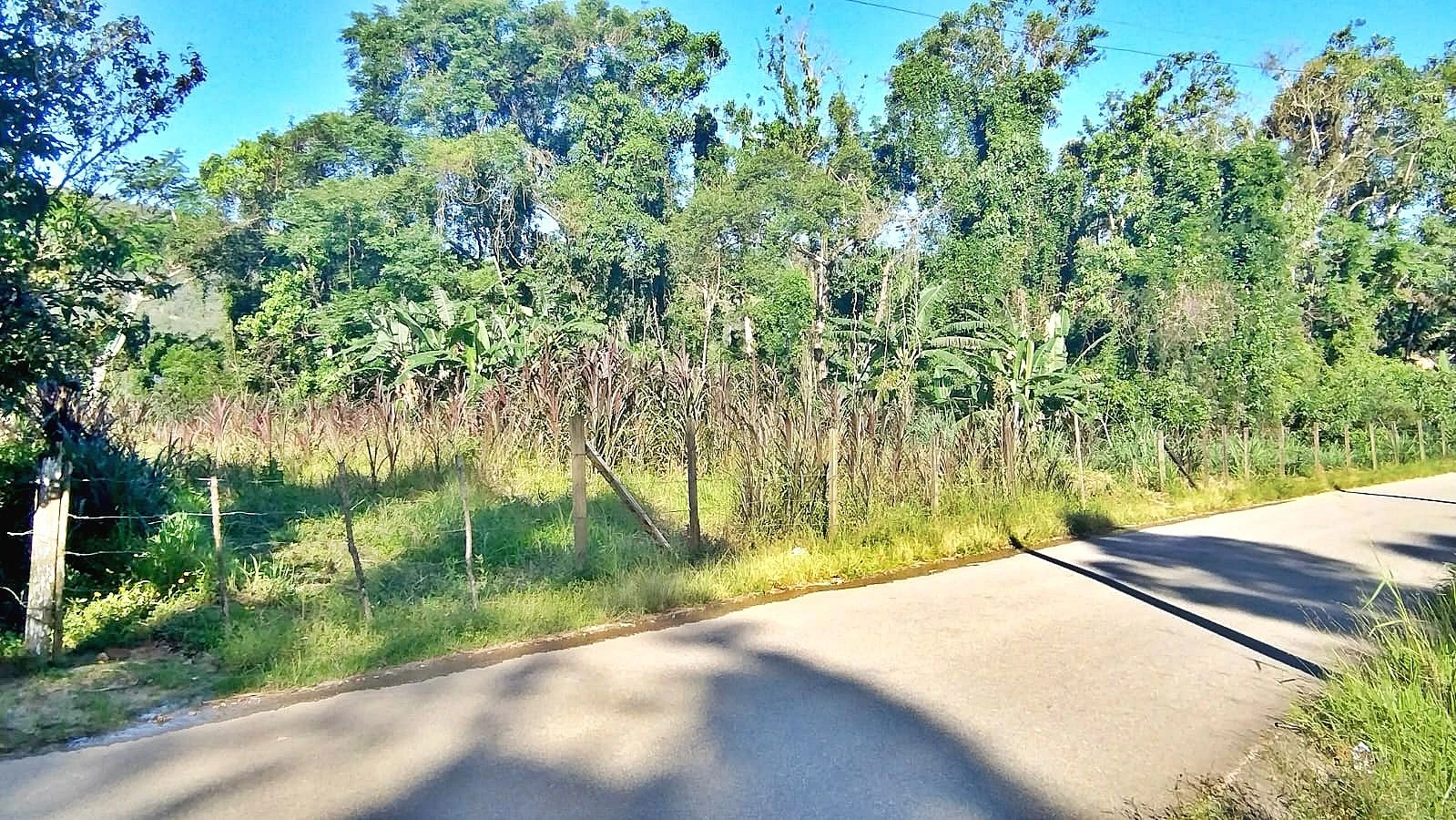 Terreno em Forquilhas, São José