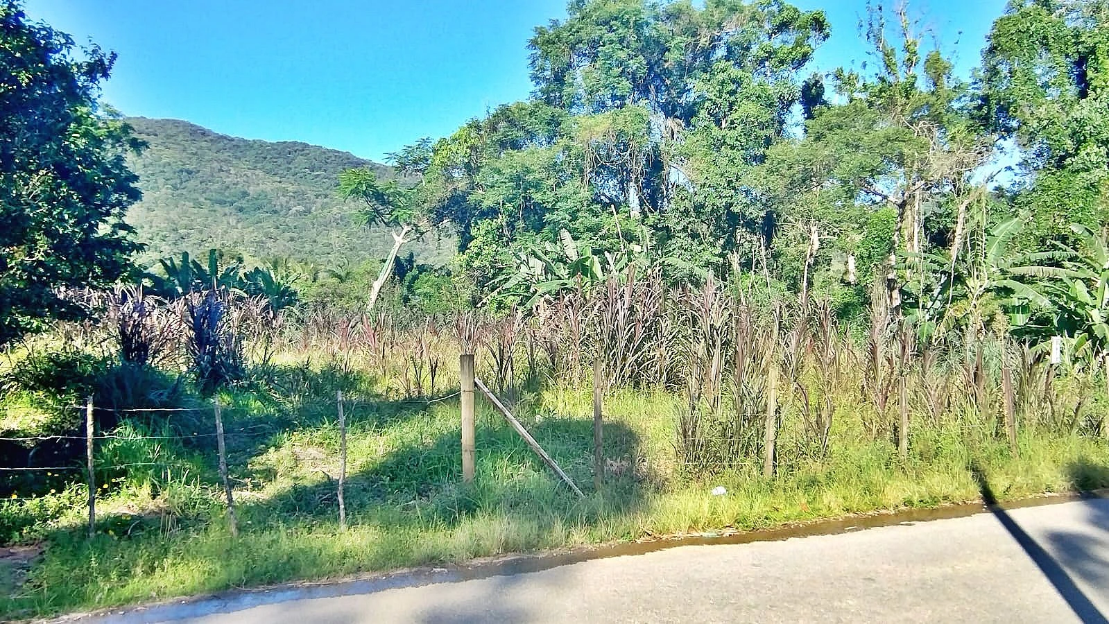 Terreno 1.800M² - Forquilhas - Foto 7