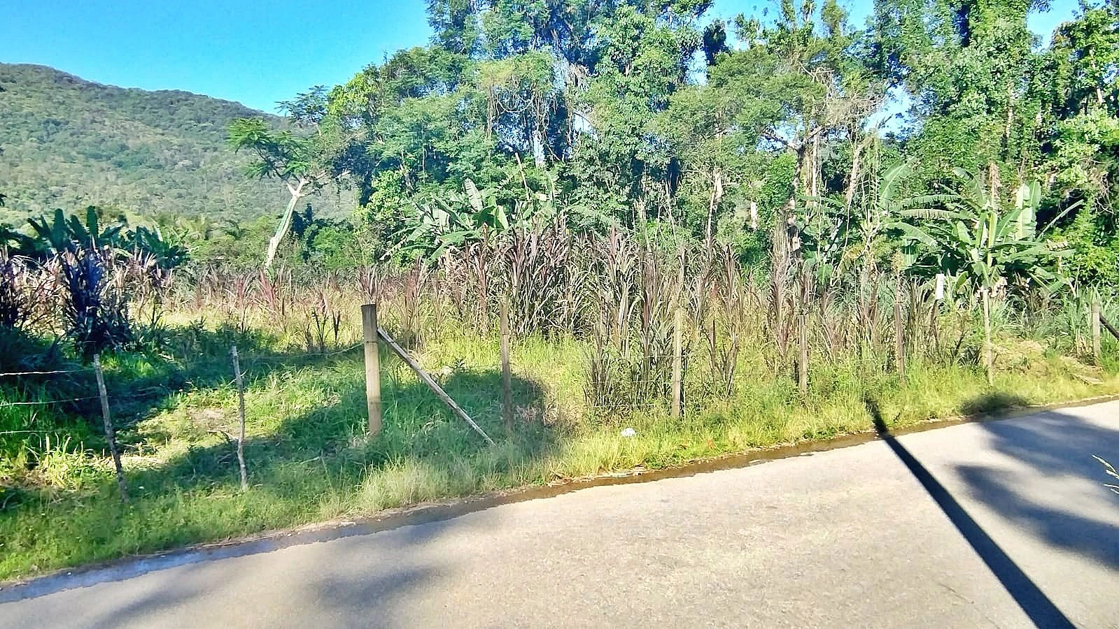 Terreno 1.800M² - Forquilhas - Foto 9