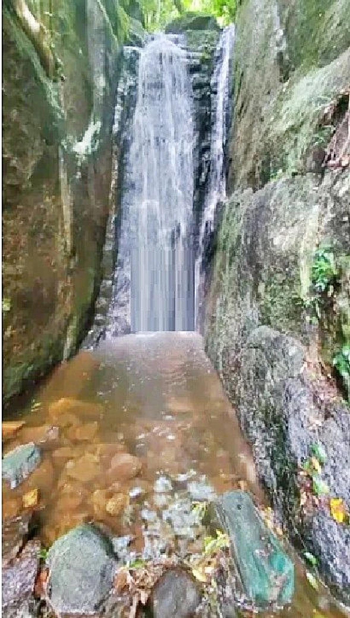 Sítio - 41.000M² - Casa, Cachoeira - Angelina - Foto 12