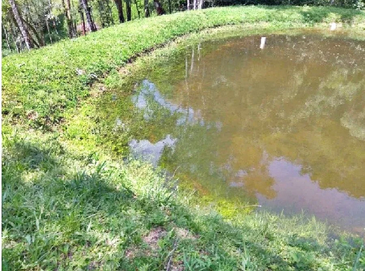 Chácara em Angelina, Angelina