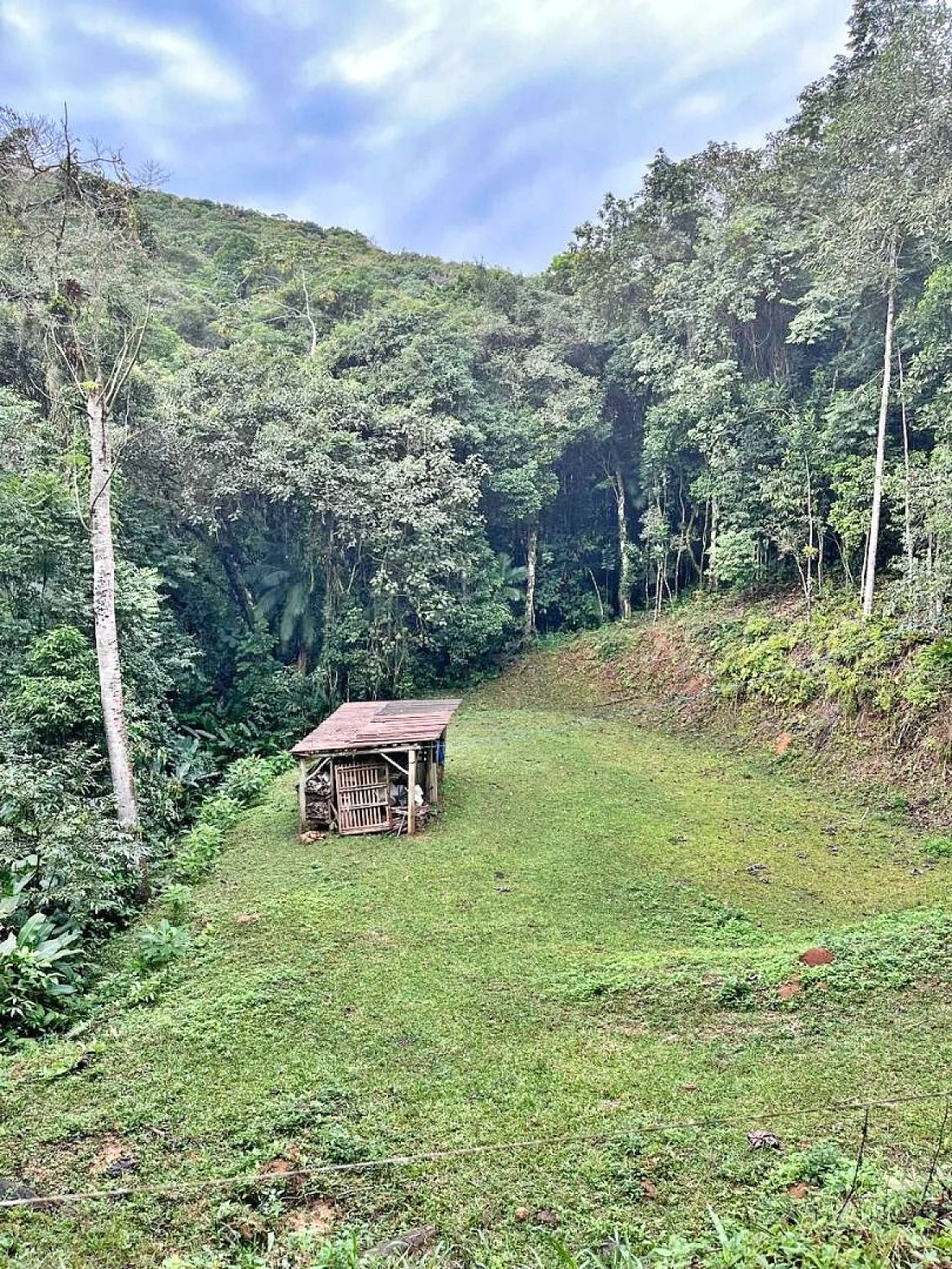 Terreno em Centro, São Pedro de Alcântara