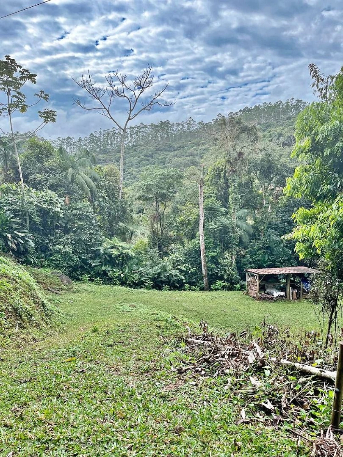 Terreno 7000m² Meio a Natureza  - São Pedro de Alcântara - Foto 6