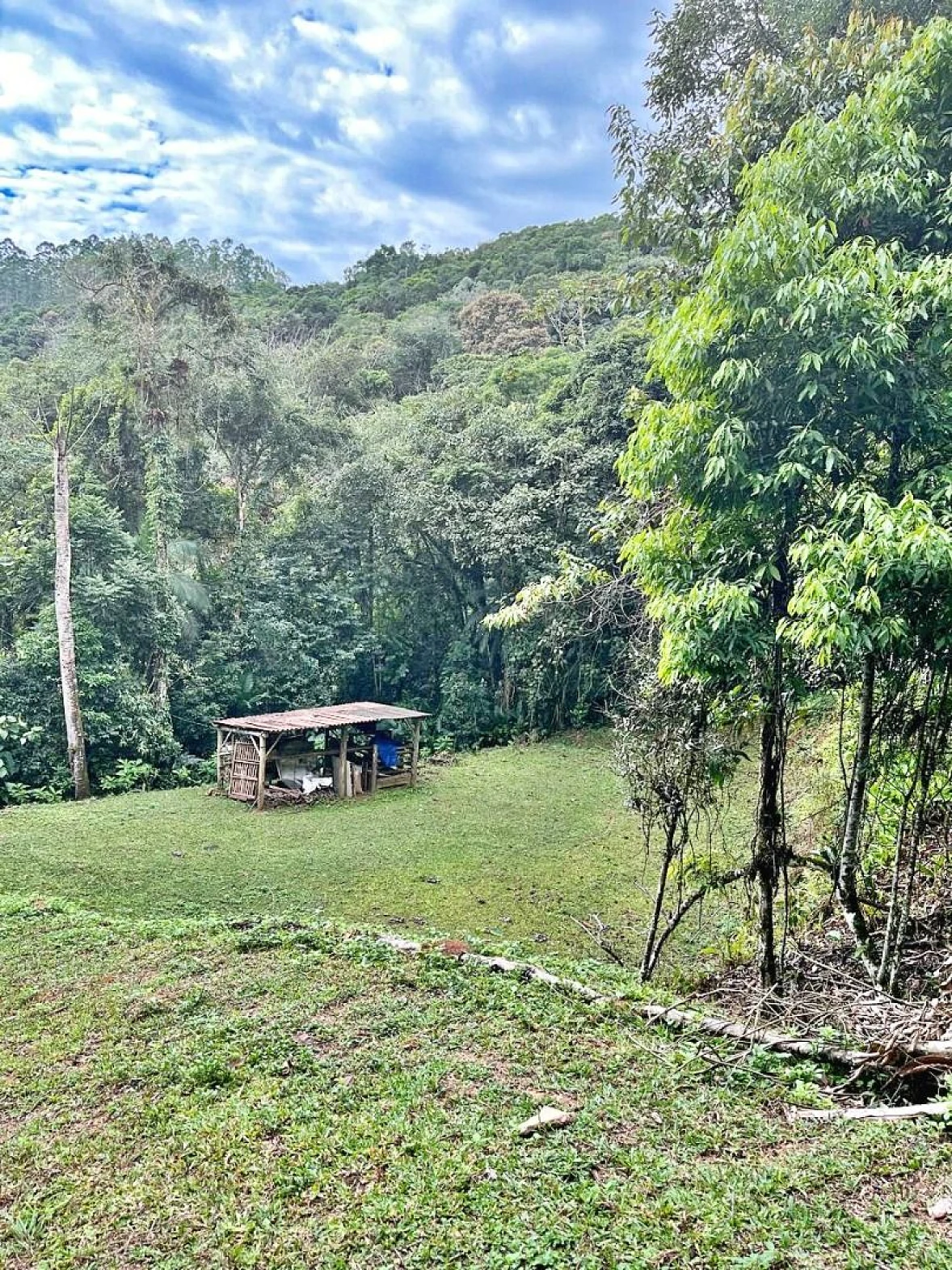 Terreno 7000m² Meio a Natureza  - São Pedro de Alcântara - Foto 7