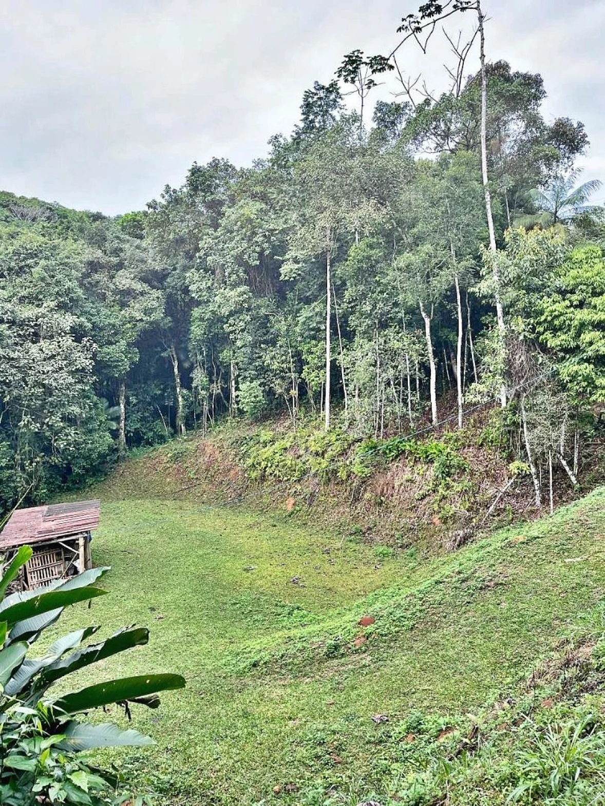 Terreno 7000m² Meio a Natureza  - São Pedro de Alcântara - Foto 9