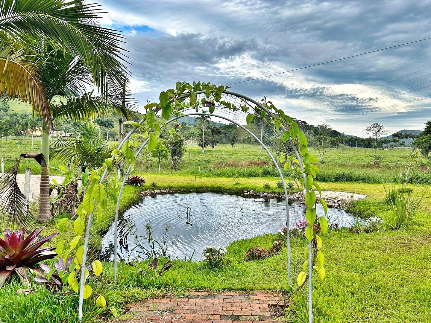 Chácara - 2 Quartos, Piscina, 6 Vagas - Fazendinha - Foto 18