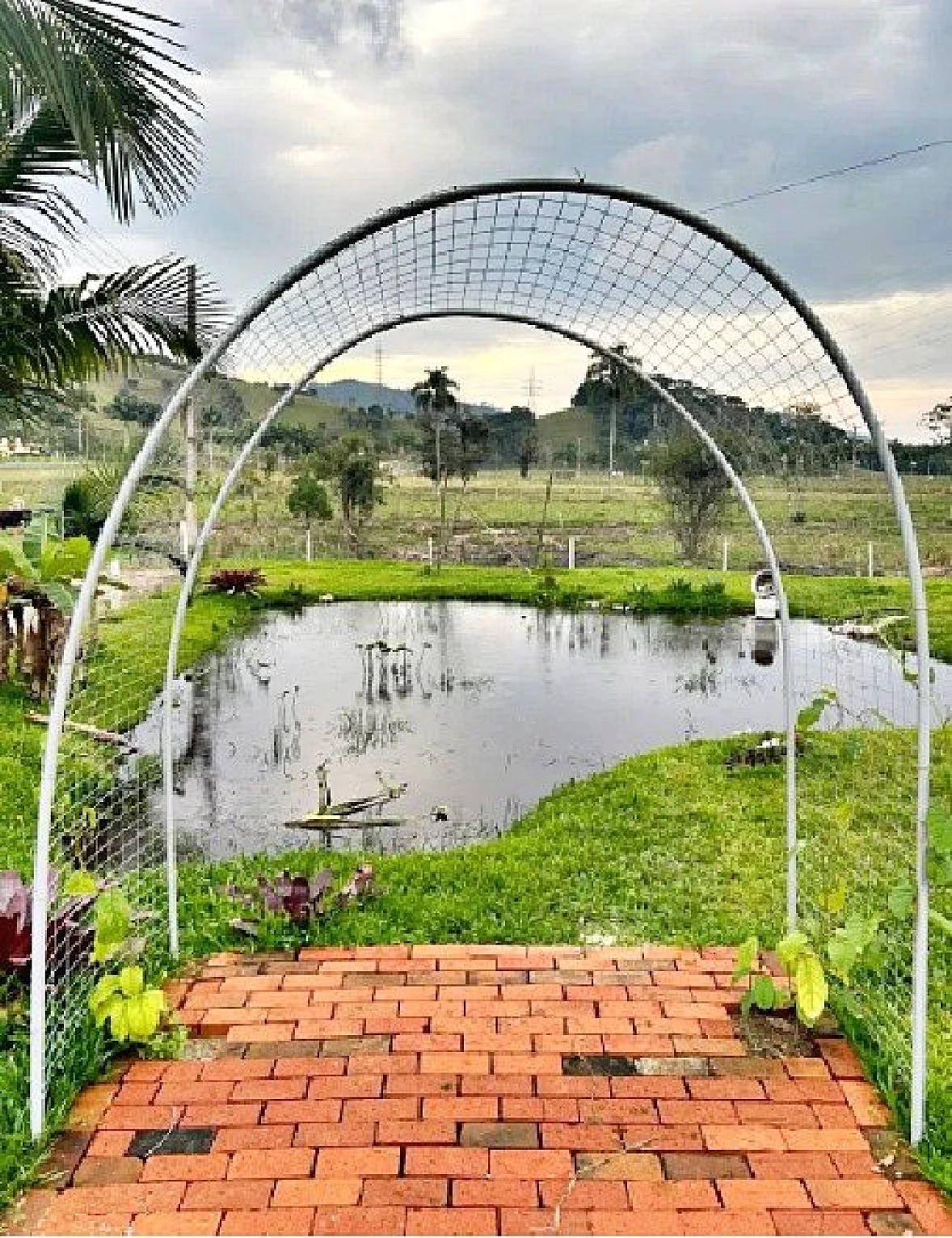 Chácara - 2 Quartos, Piscina, 6 Vagas - Fazendinha - Foto 23