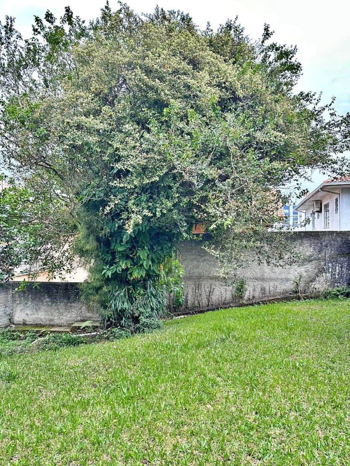 Terreno em Jardim Atlântico, Florianópolis