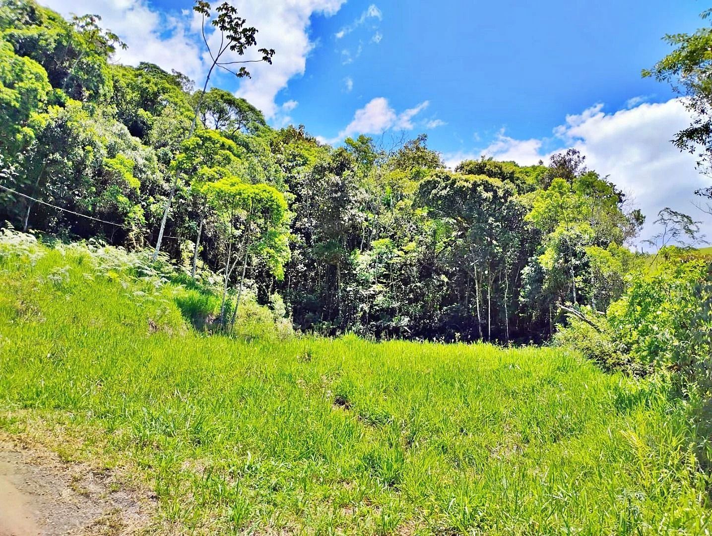 Terreno em Varginha, Santo Amaro da Imperatriz