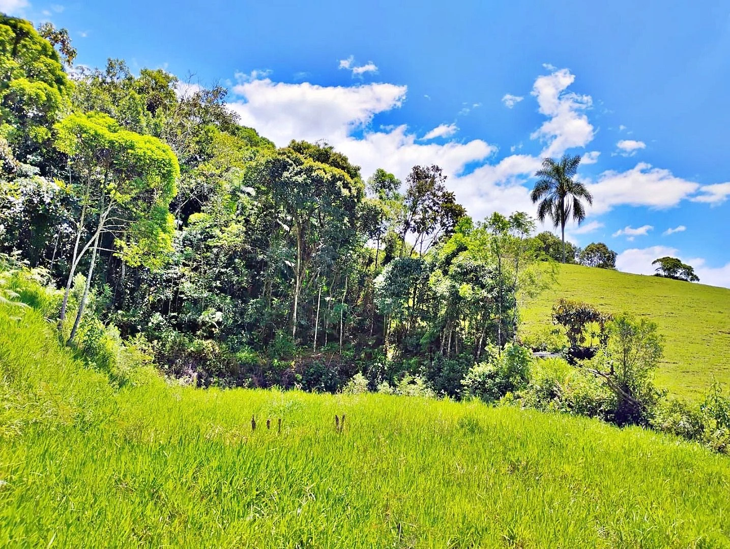 Terreno em Varginha, Santo Amaro da Imperatriz