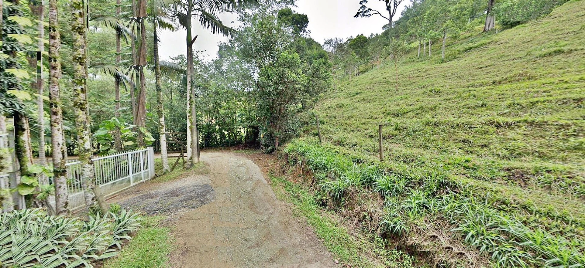 Terreno em Varginha, Santo Amaro da Imperatriz