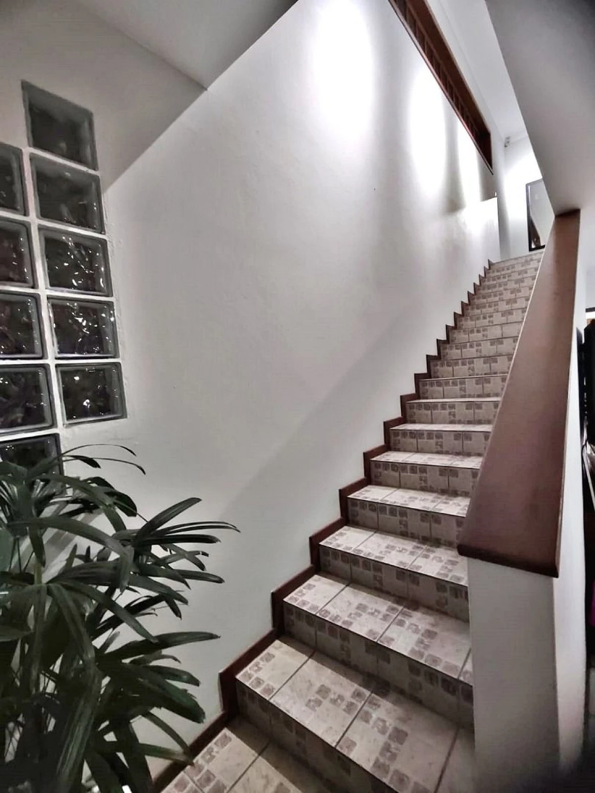 Casa com 3 Dormitórios para Alugar, 250 m² - Cidade Universitária Pedra Branca - Palhoça/SC - Foto 26