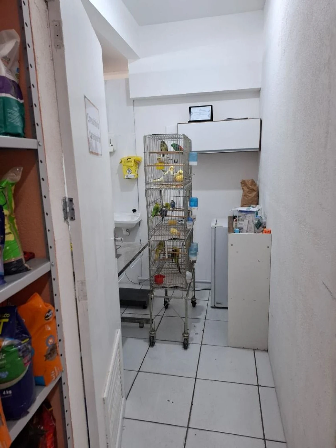 Predio Comercial e Residencial em Bela Vista - São José SC - Foto 36