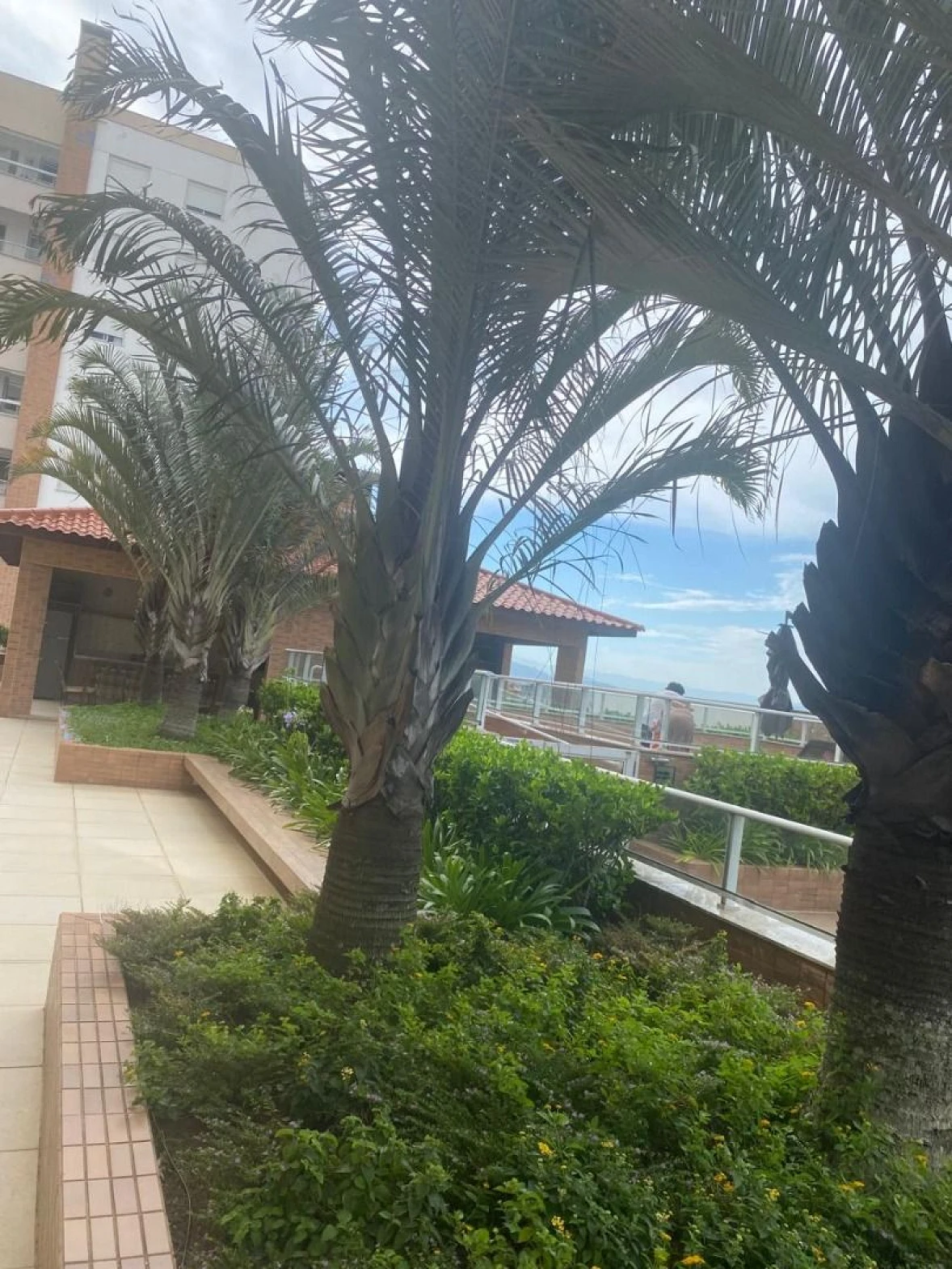 Apartamento em Jardim Atlântico, Florianópolis