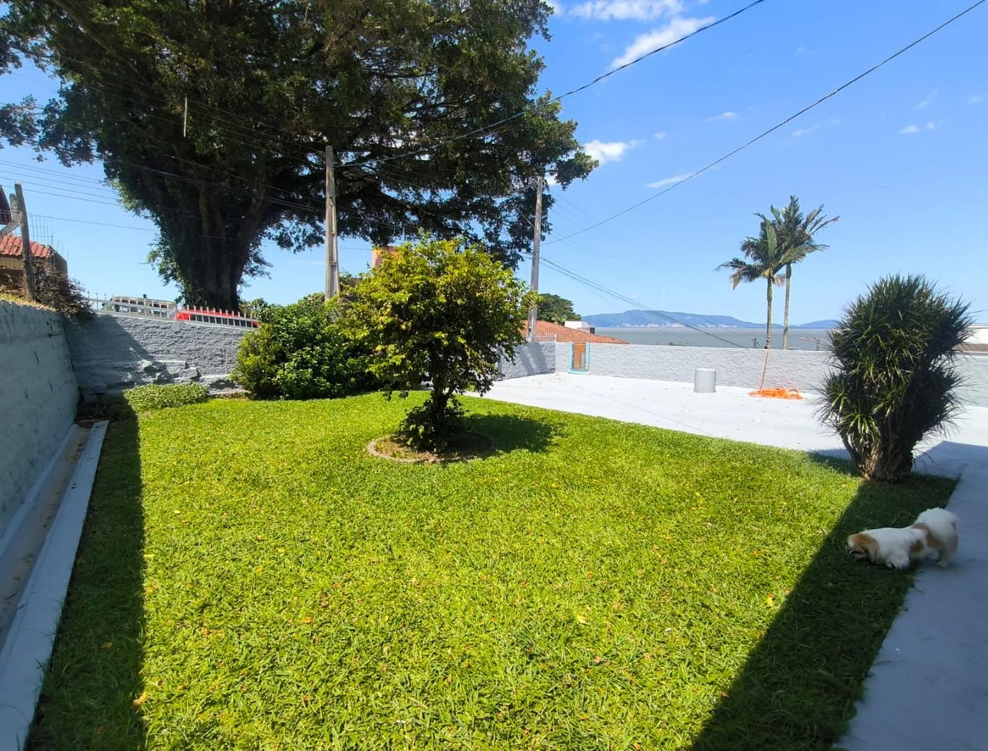 Casa em Ponta de Baixo, São José