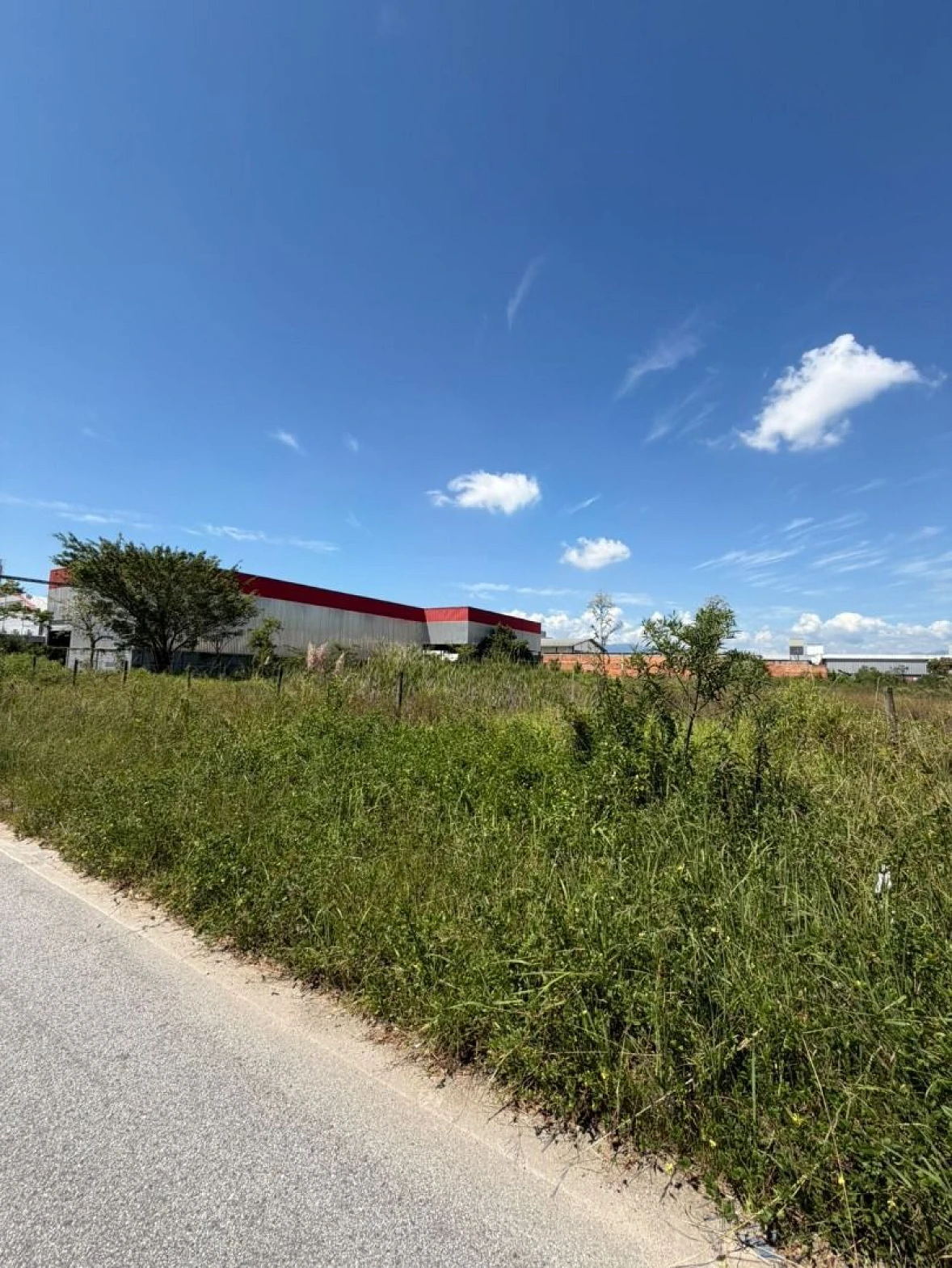 Terreno em Distrito Industrial, São José