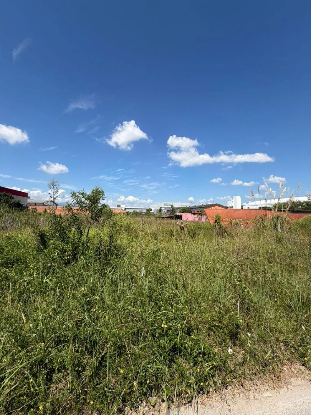 Terreno em Distrito Industrial, São José