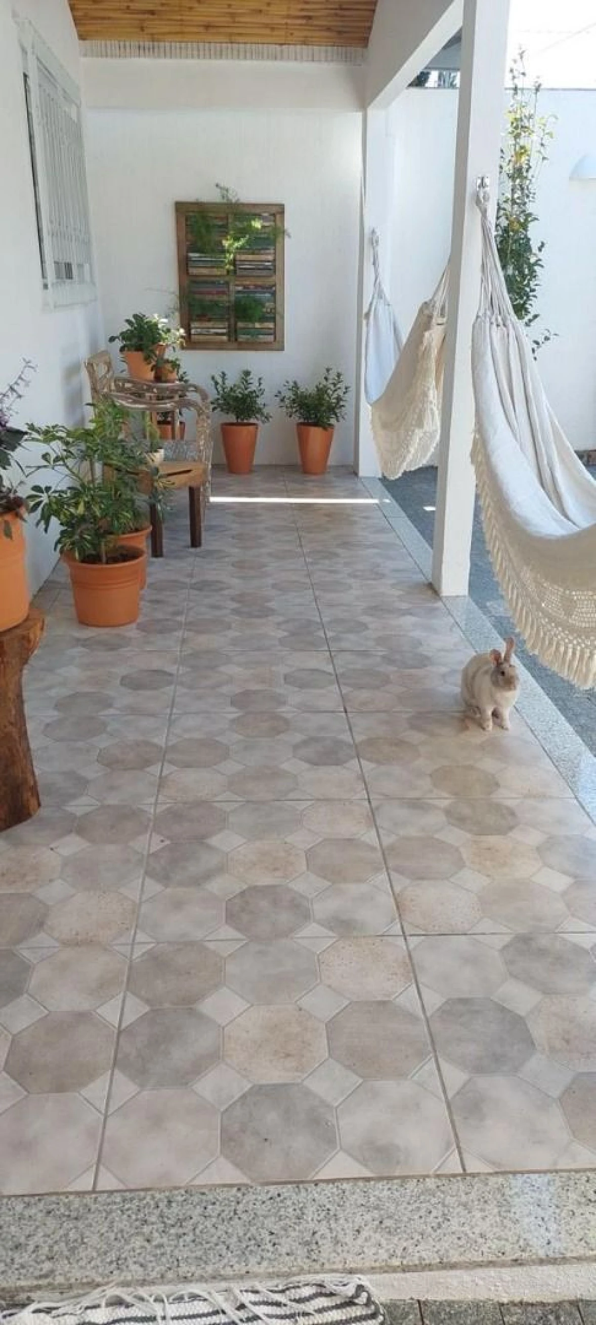 Casa 5 Quartos com 2 Suítes e 340m² - Jardim Atlântico - Foto 7