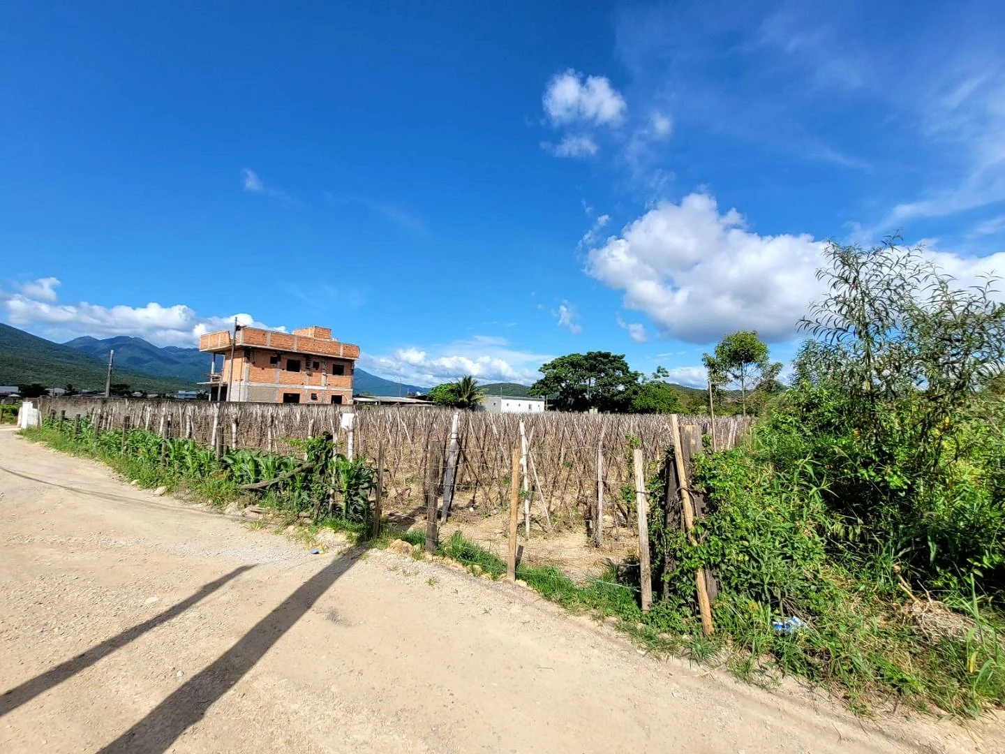 Terreno para Locação Comercial na Guarda do Cubatão - Foto 17
