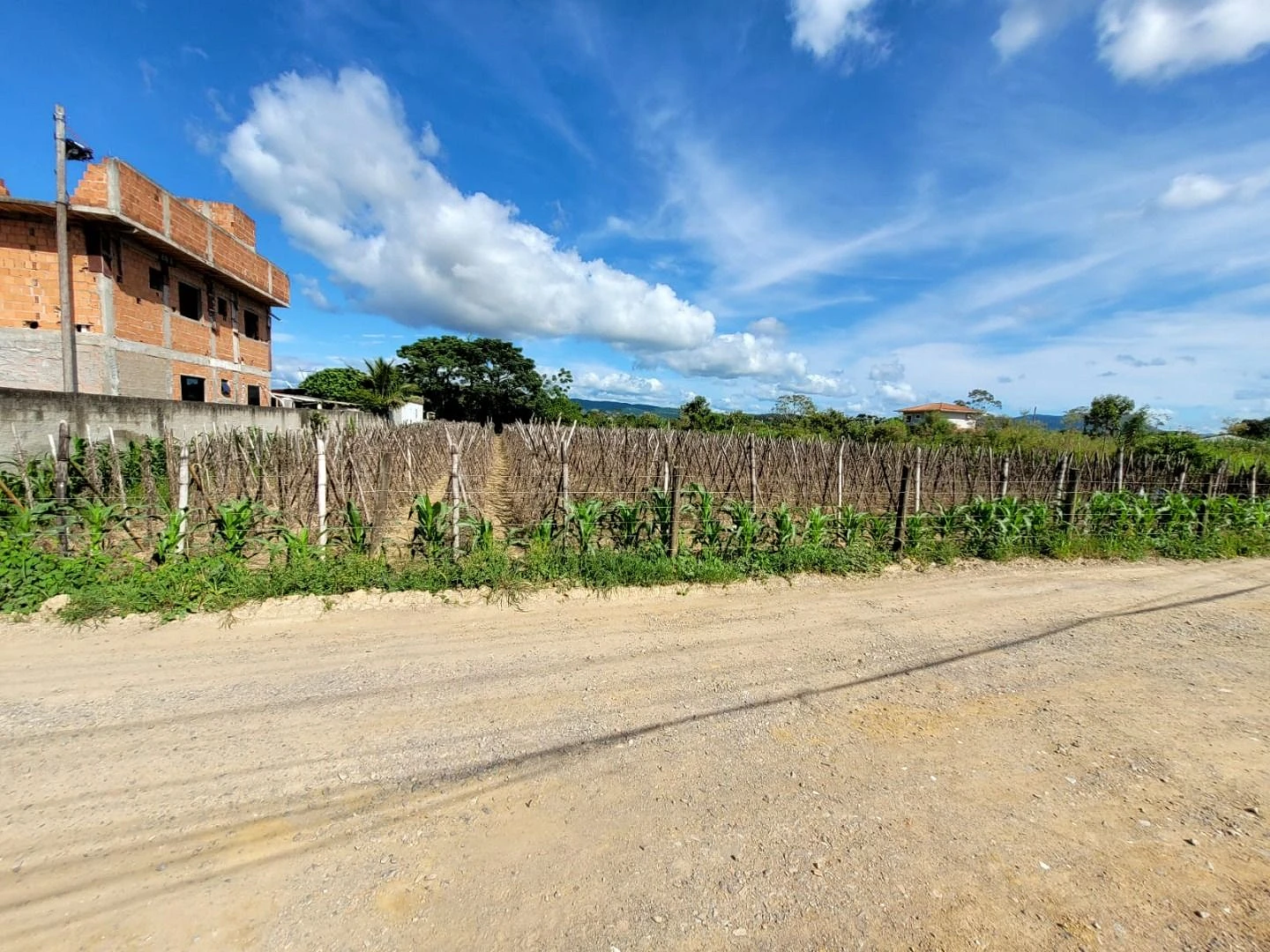 Terreno para Locação Comercial na Guarda do Cubatão - Foto 20