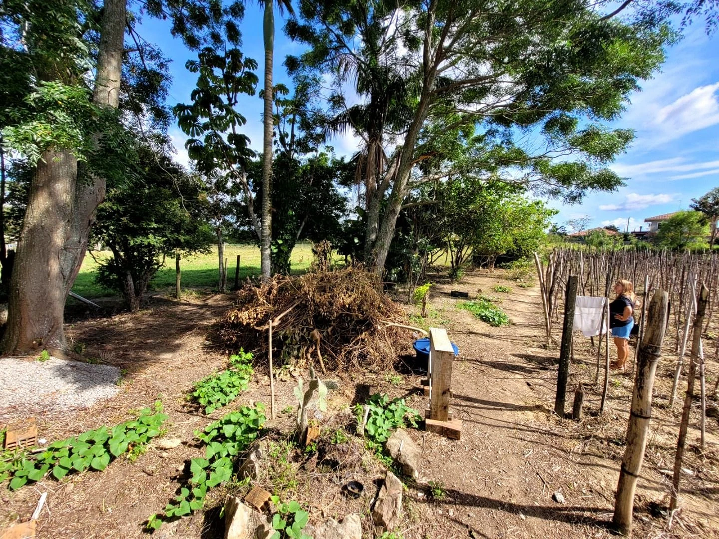 Terreno em Guarda do Cubatão, Palhoça