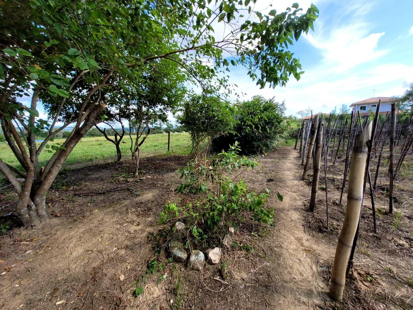 Terreno em Guarda do Cubatão, Palhoça