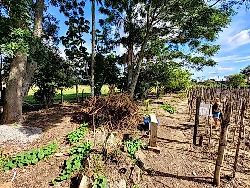 Terreno para Locação Comercial na Guarda do Cubatão - Foto 10