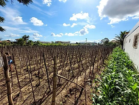 Terreno para Locação Comercial na Guarda do Cubatão - Foto 12