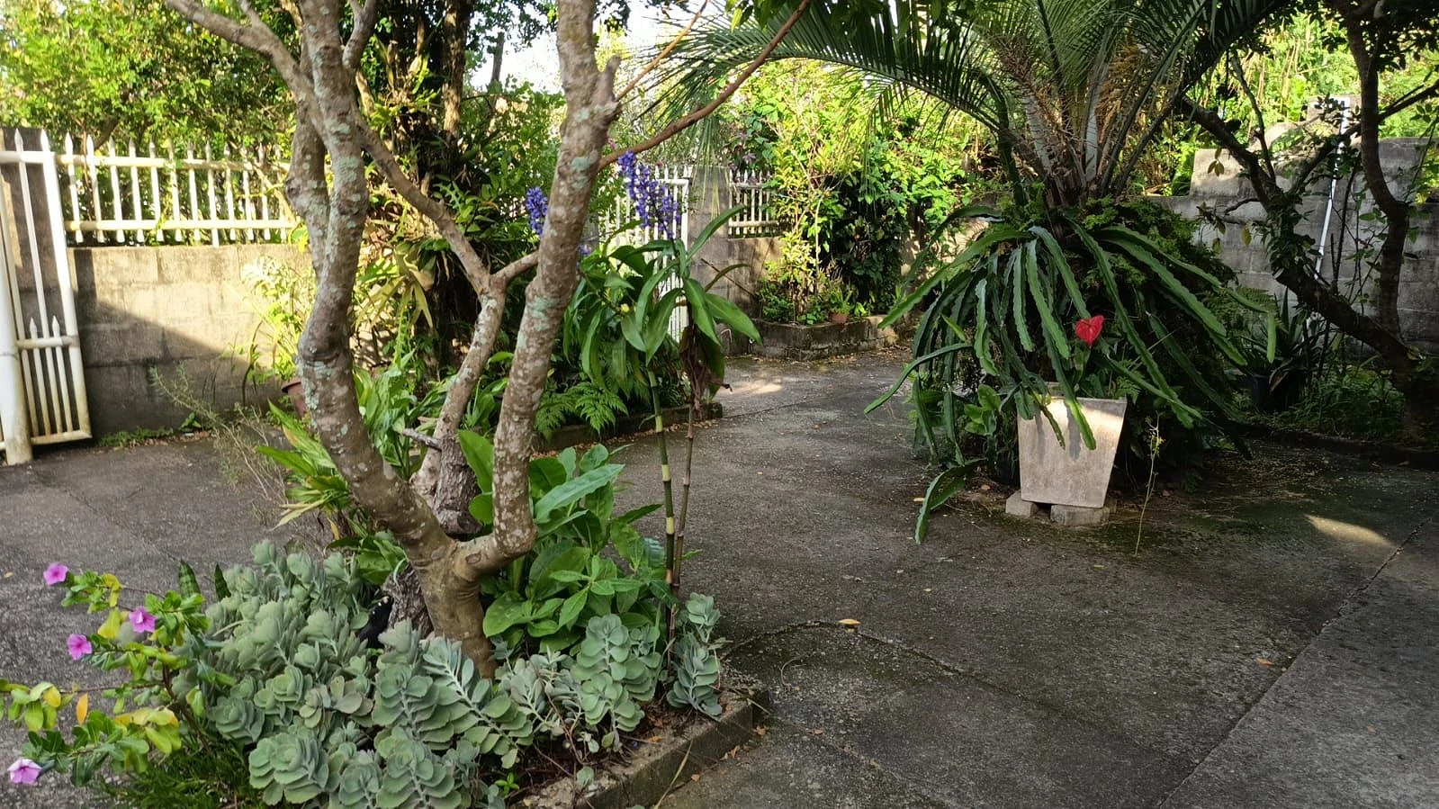 Casa em Pinheira, Palhoça