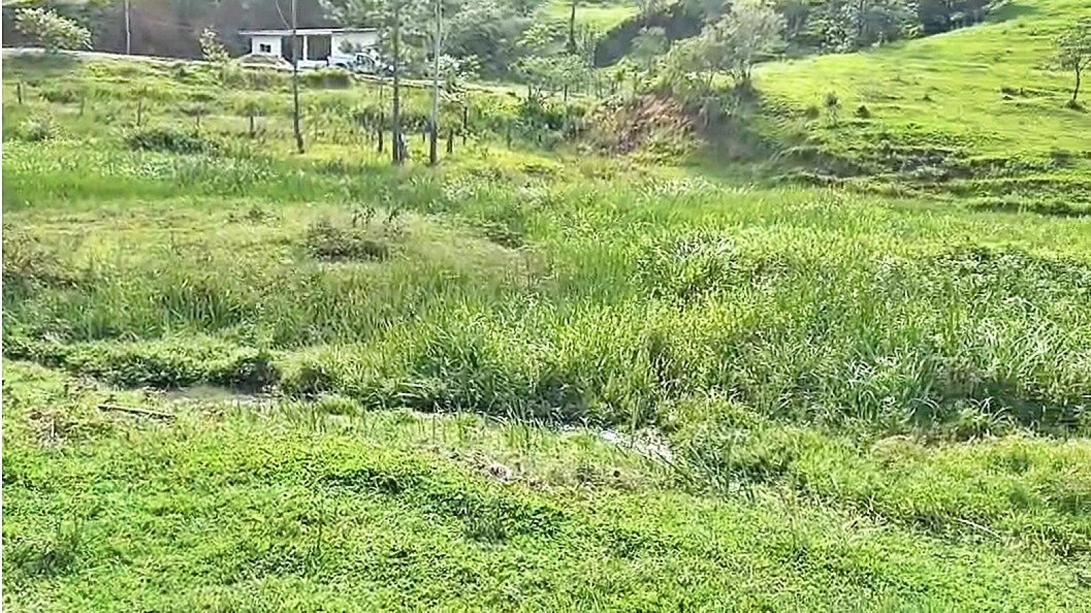 Terreno 16.000M² - Pagará - Santo Amaro Imperatriz - Foto 12