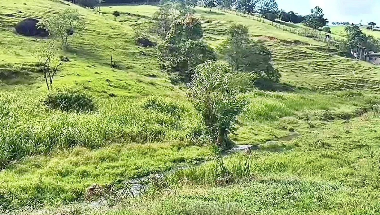 Terreno em Pagará, Santo Amaro da Imperatriz