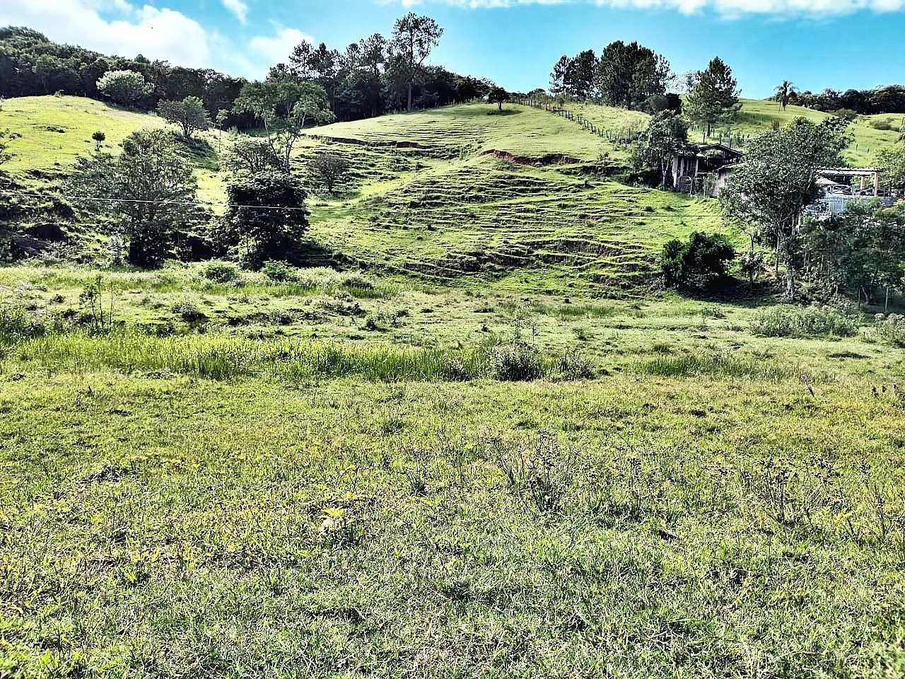 Terreno em Pagará, Santo Amaro da Imperatriz